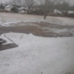 Meet your Posher, Shalanda